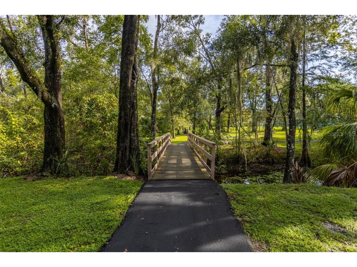 11407 Orilla Del Rio Place Temple Terrace FL 33617 - HILLSBOROUGH RIVER TB8414686 image33