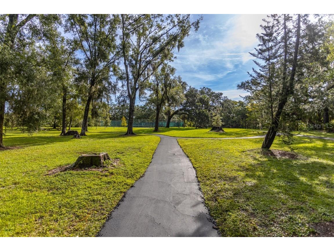 11407 Orilla Del Rio Place Temple Terrace FL 33617 - HILLSBOROUGH RIVER TB8414686 image34