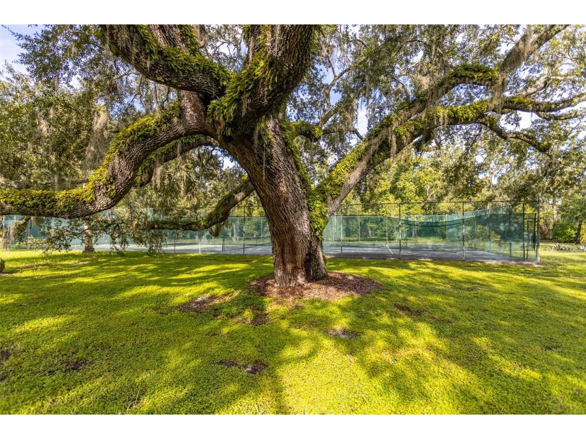 11407 Orilla Del Rio Place Temple Terrace FL 33617 - HILLSBOROUGH RIVER TB8414686 image35