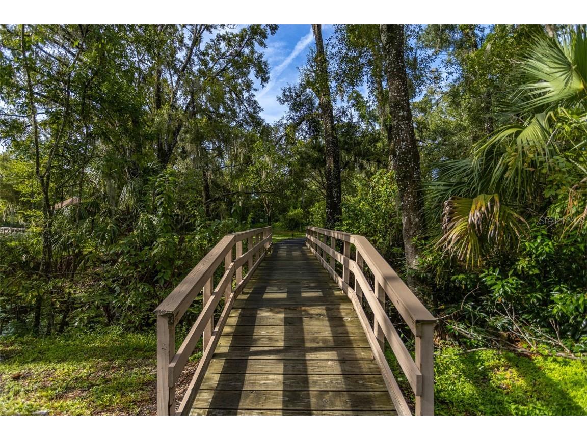 11407 Orilla Del Rio Place Temple Terrace FL 33617 - HILLSBOROUGH RIVER TB8414686 image37