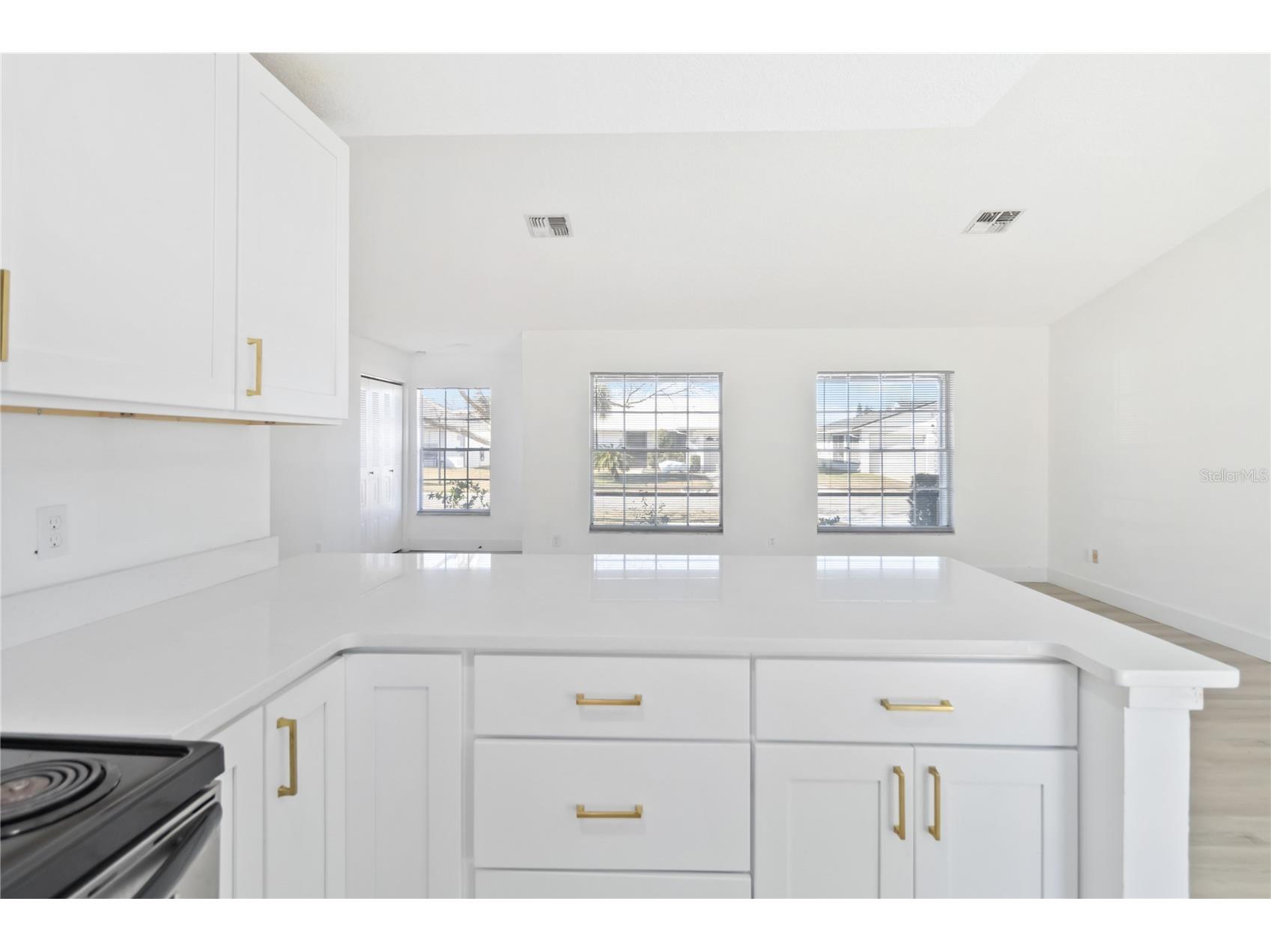 11407 Splitwood Lane Orlando FL 32821 S5143103 image13