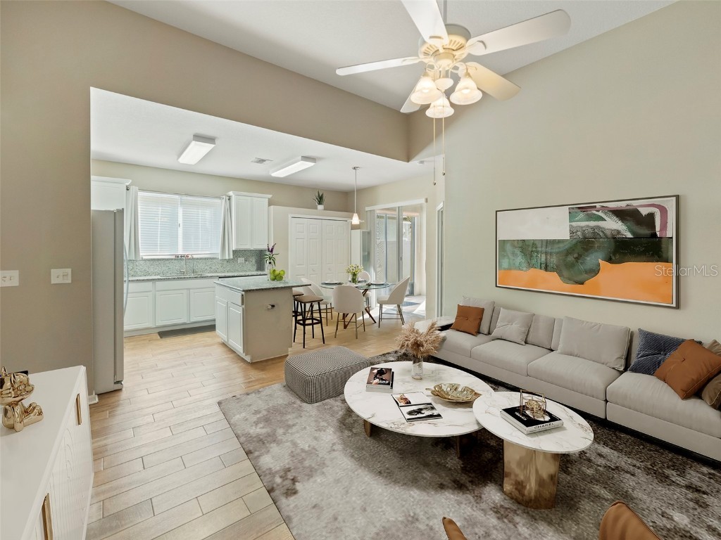 11407 Village Brook Drive Riverview FL 33579 TB8331643 image1