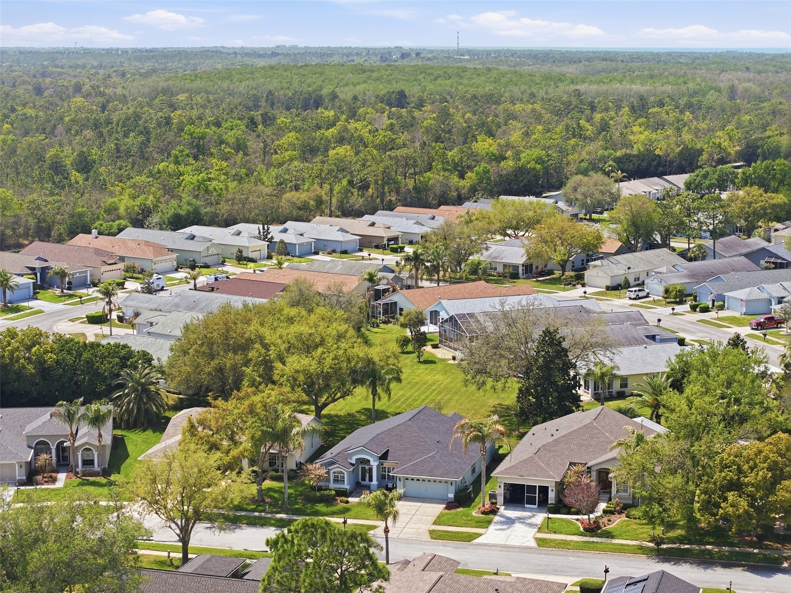 11408 Alden Court Hudson FL 34667 W7884178 image19