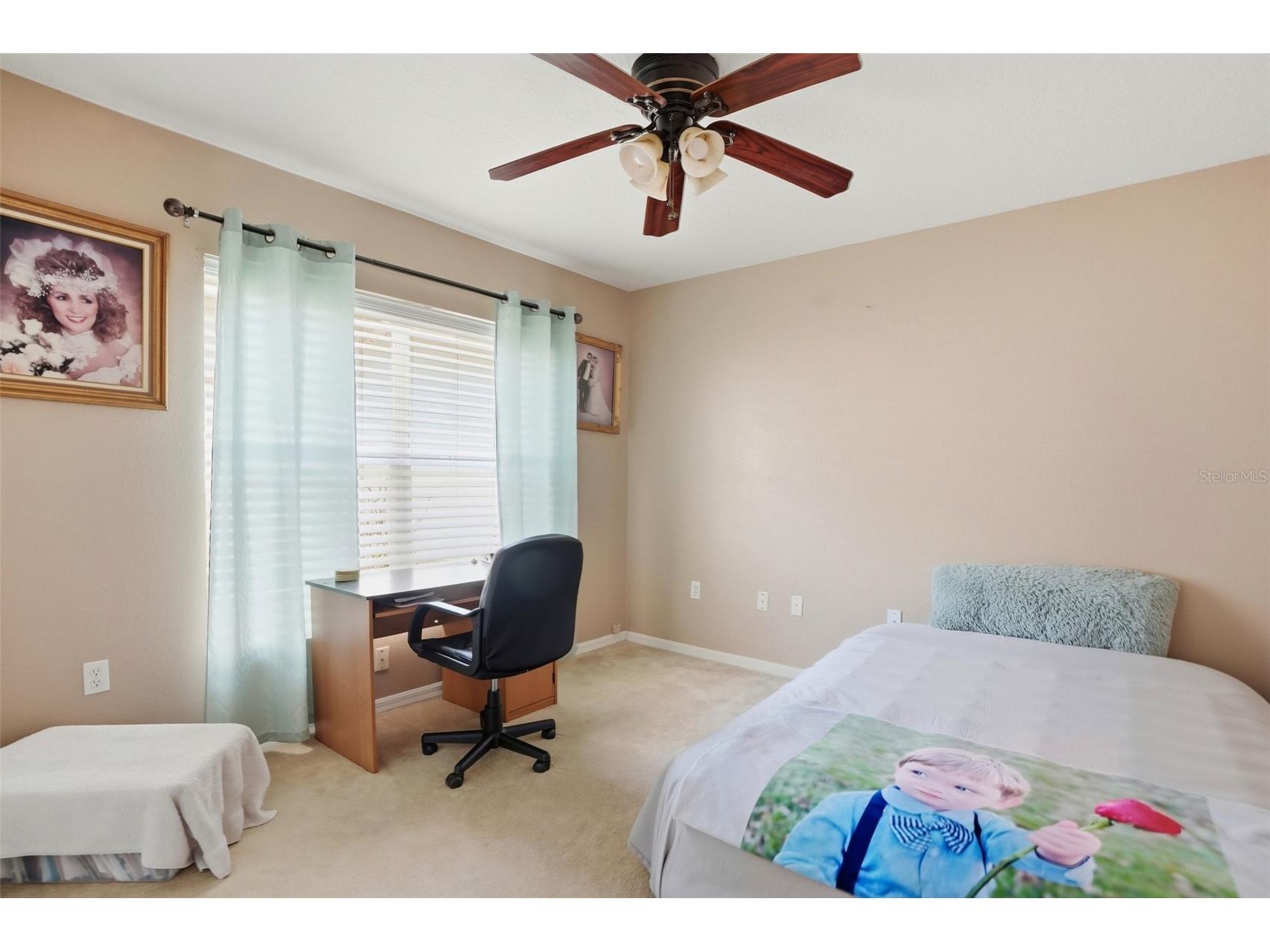 11408 Alden Court Hudson FL 34667 W7884178 image33