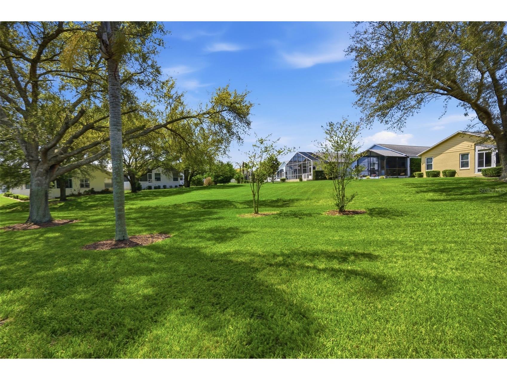 11408 Alden Court Hudson FL 34667 W7884178 image41