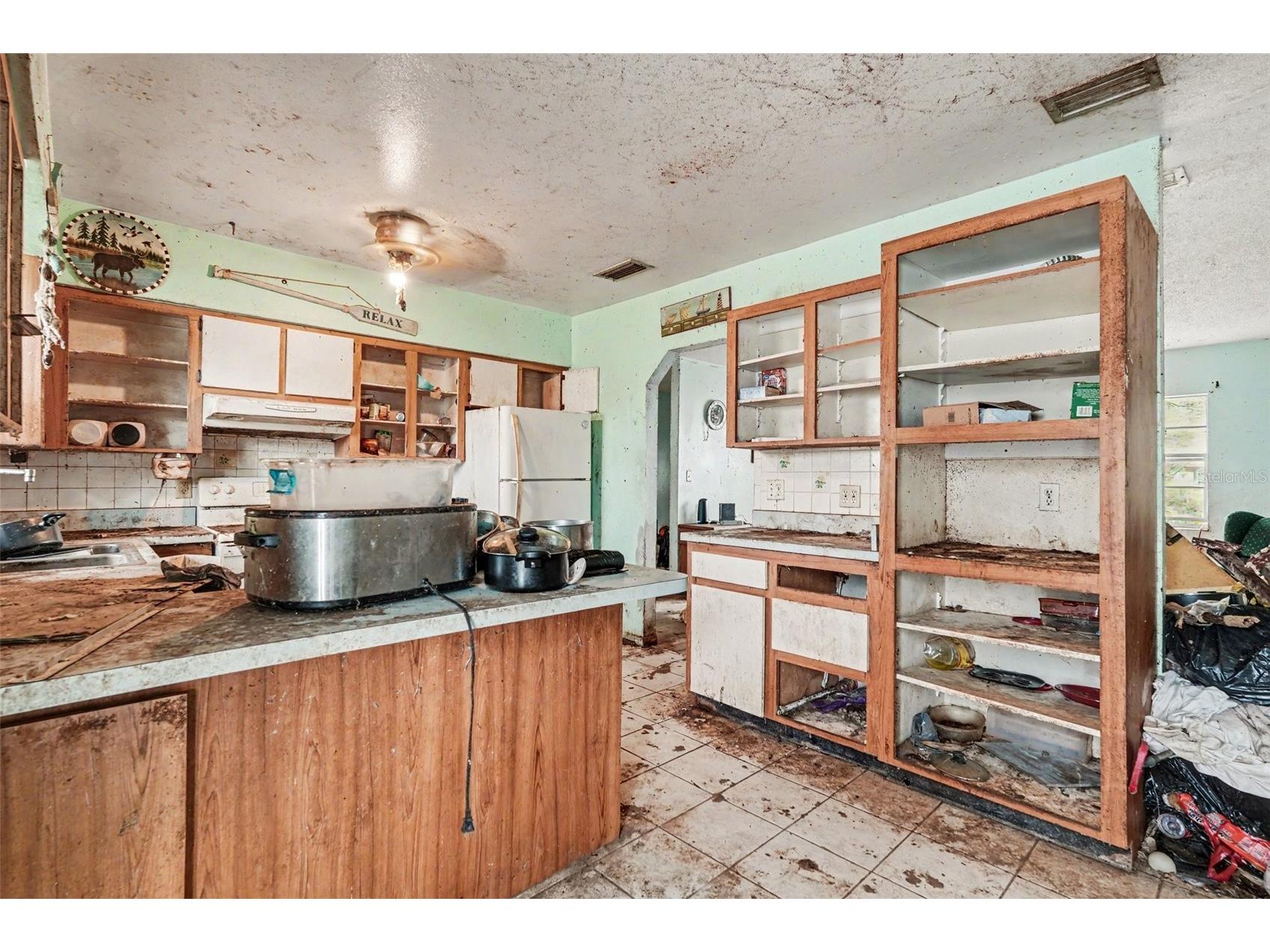 11408 Colony Hill Drive Seffner FL 33584 TB8511259 image13