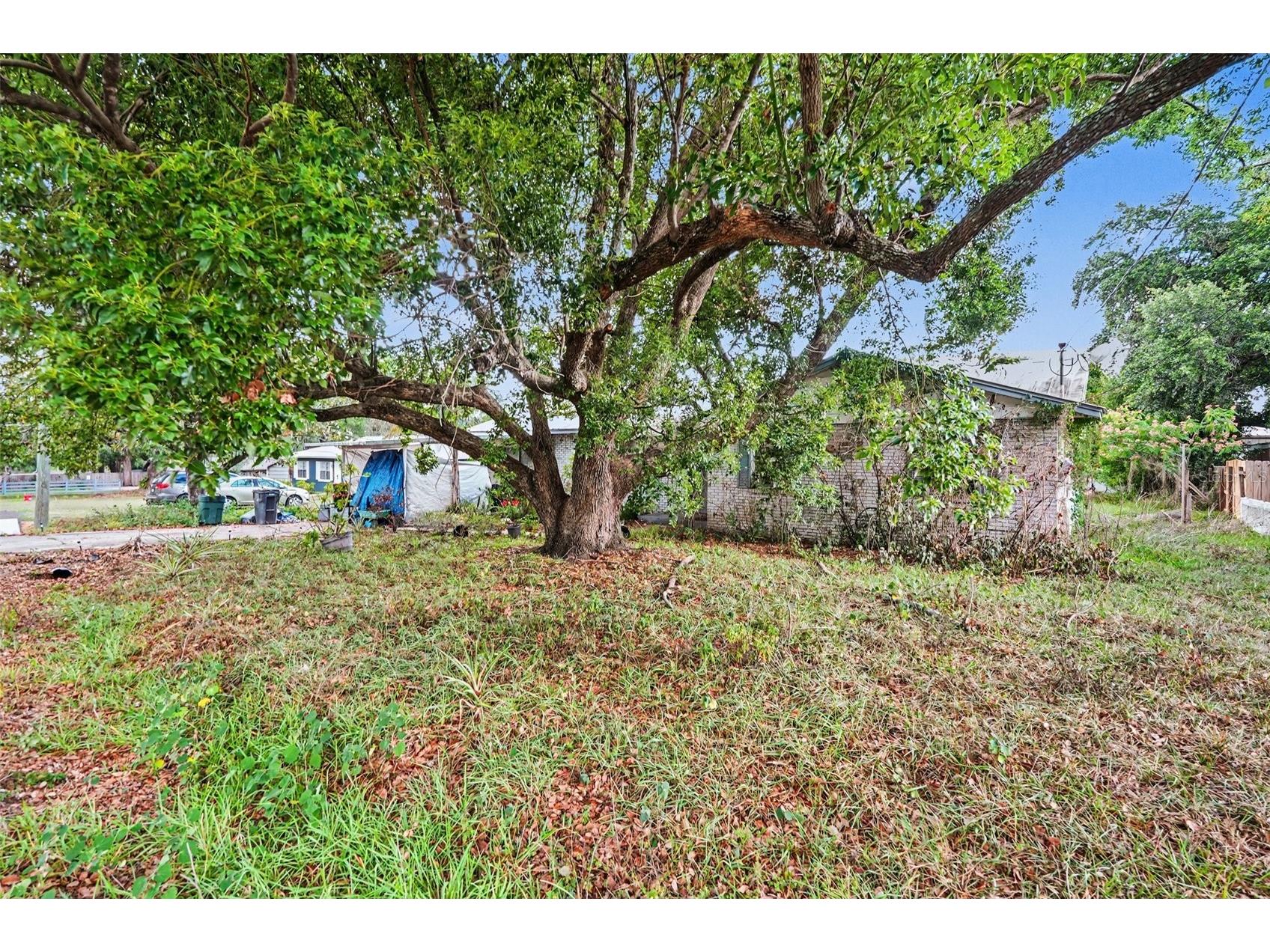 11408 Colony Hill Drive Seffner FL 33584 TB8511259 image4