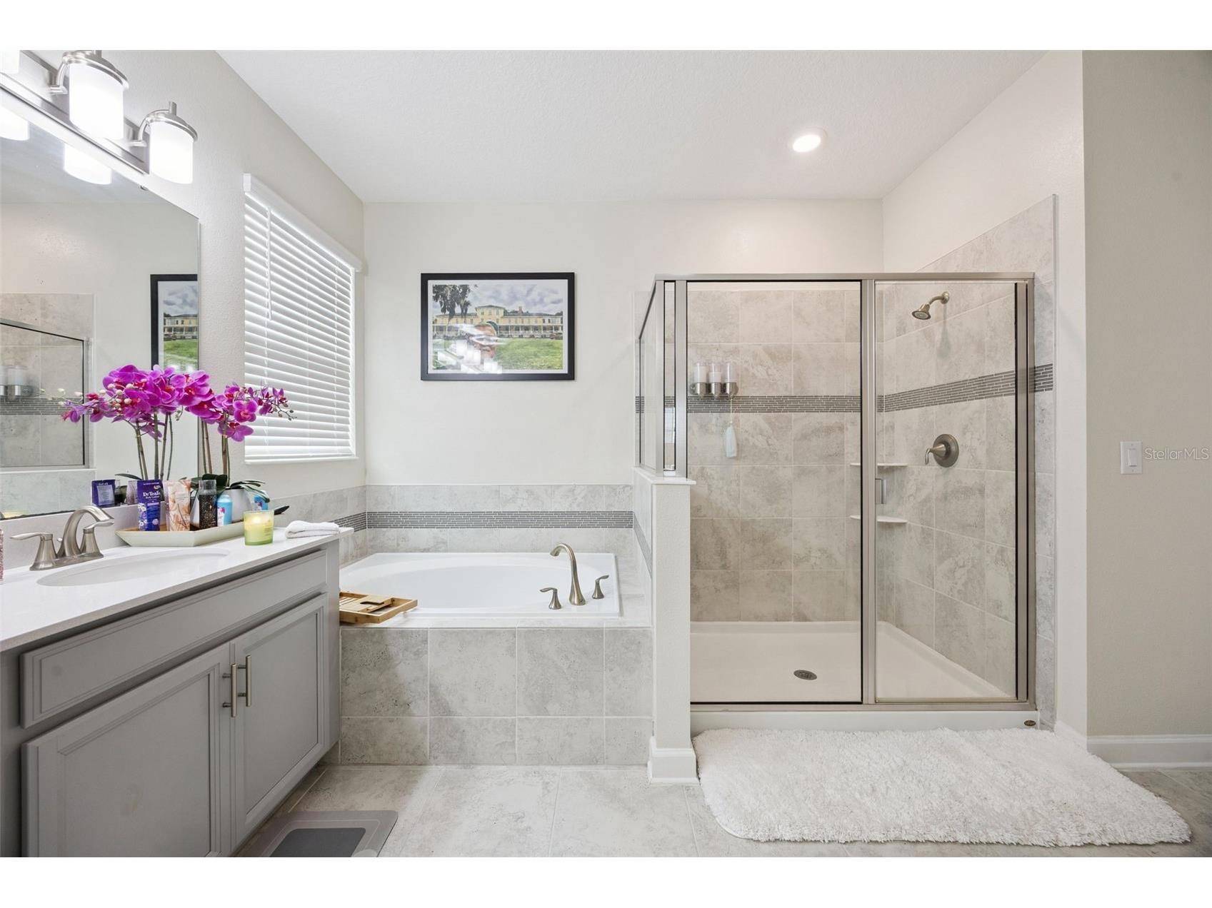 11408 Satire Street Orlando FL 32832 O6385802 image28