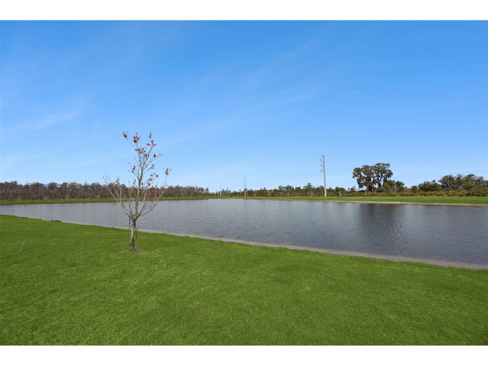 11408 Satire Street Orlando FL 32832 O6385802 image3