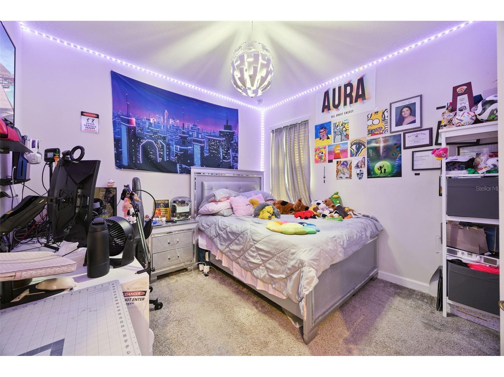 11408 Satire Street Orlando FL 32832 O6385802 image32