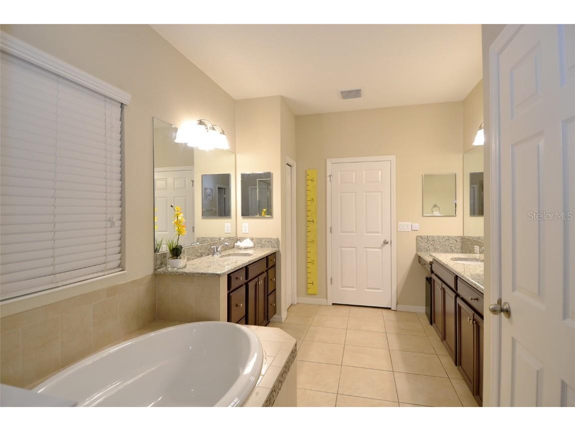 11408 Scribner Station Lane Lithia FL 33547 TB8400227 image21