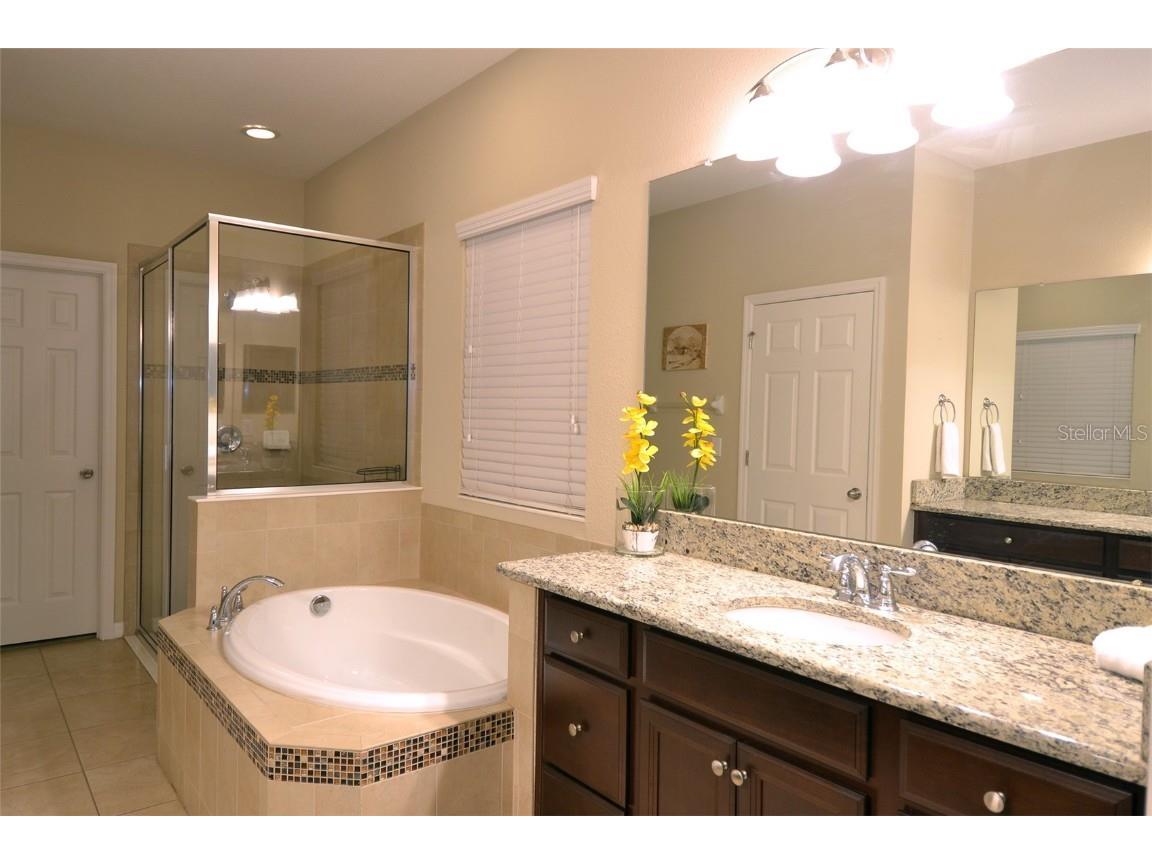 11408 Scribner Station Lane Lithia FL 33547 TB8400227 image22