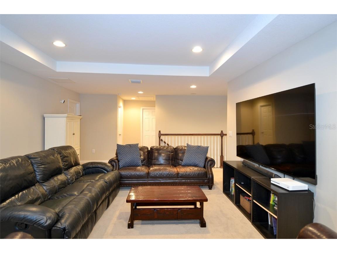 11408 Scribner Station Lane Lithia FL 33547 TB8400227 image24