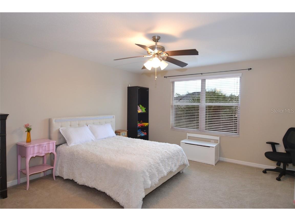 11408 Scribner Station Lane Lithia FL 33547 TB8400227 image27