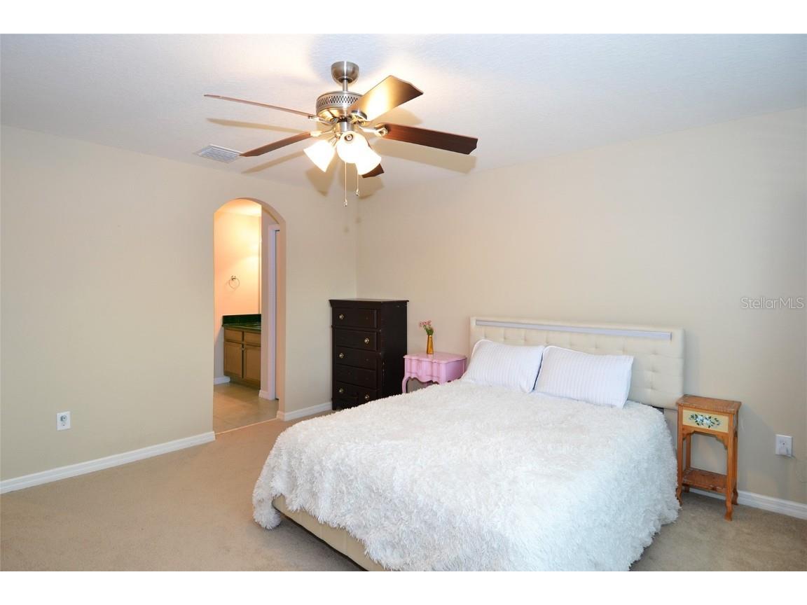 11408 Scribner Station Lane Lithia FL 33547 TB8400227 image28