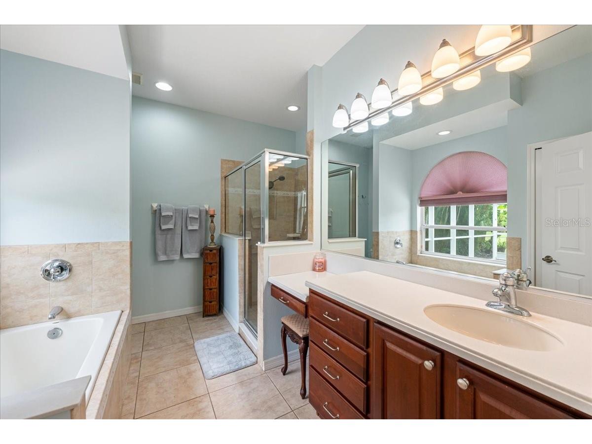 11409 56th Street Circle E Parrish FL 34219 A4696084 image23