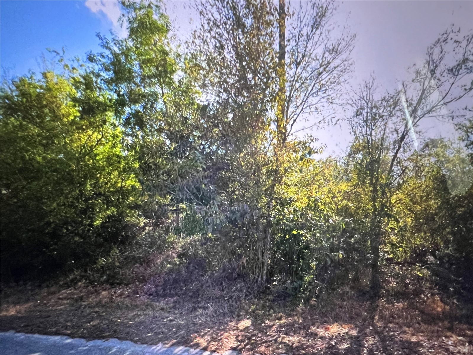 11409 8th Avenue Punta Gorda FL 33955 C7527868 image2