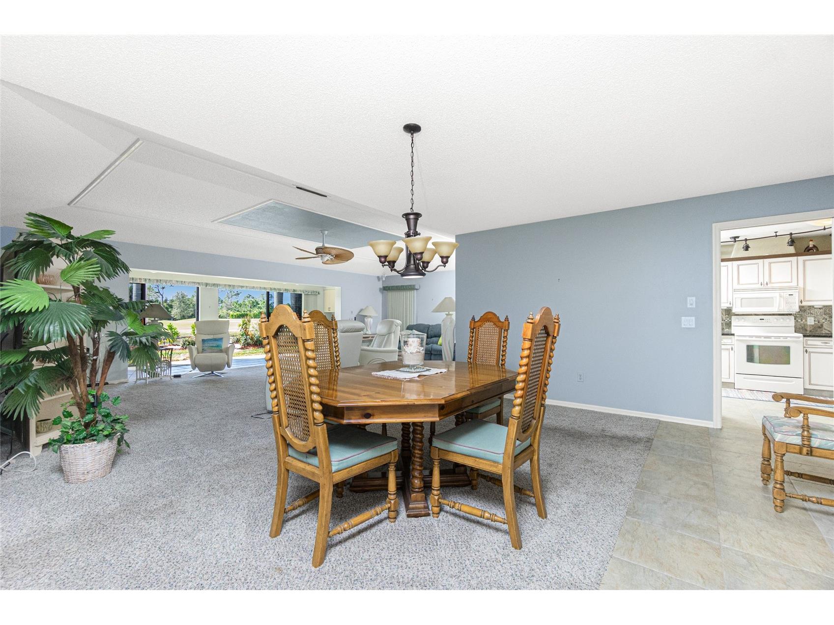 11409 SW Courtney Drive Lake Suzy FL 34269 C7522155 image16