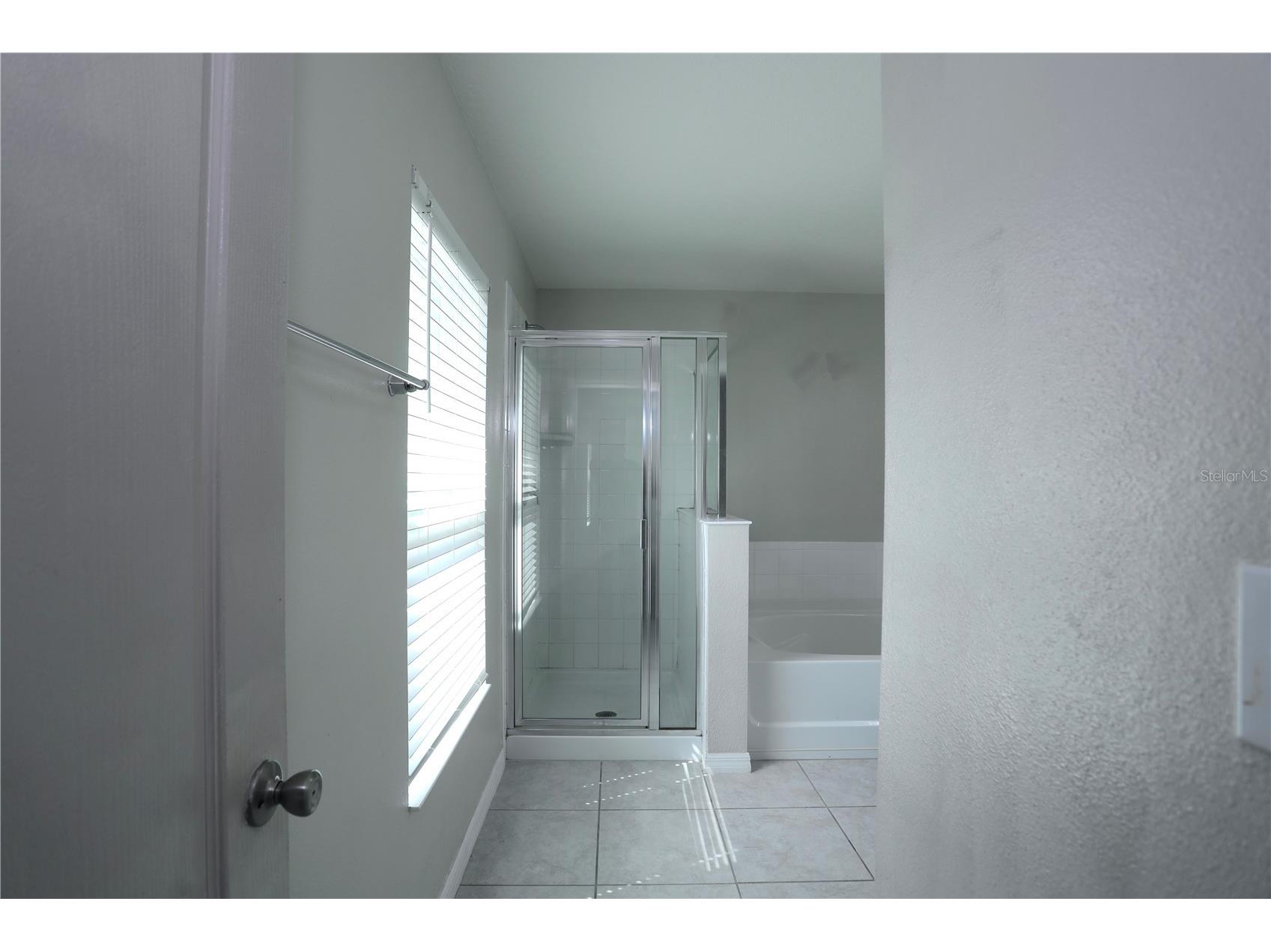 1141 Augustus Drive Davenport FL 33896 O6388828 image23