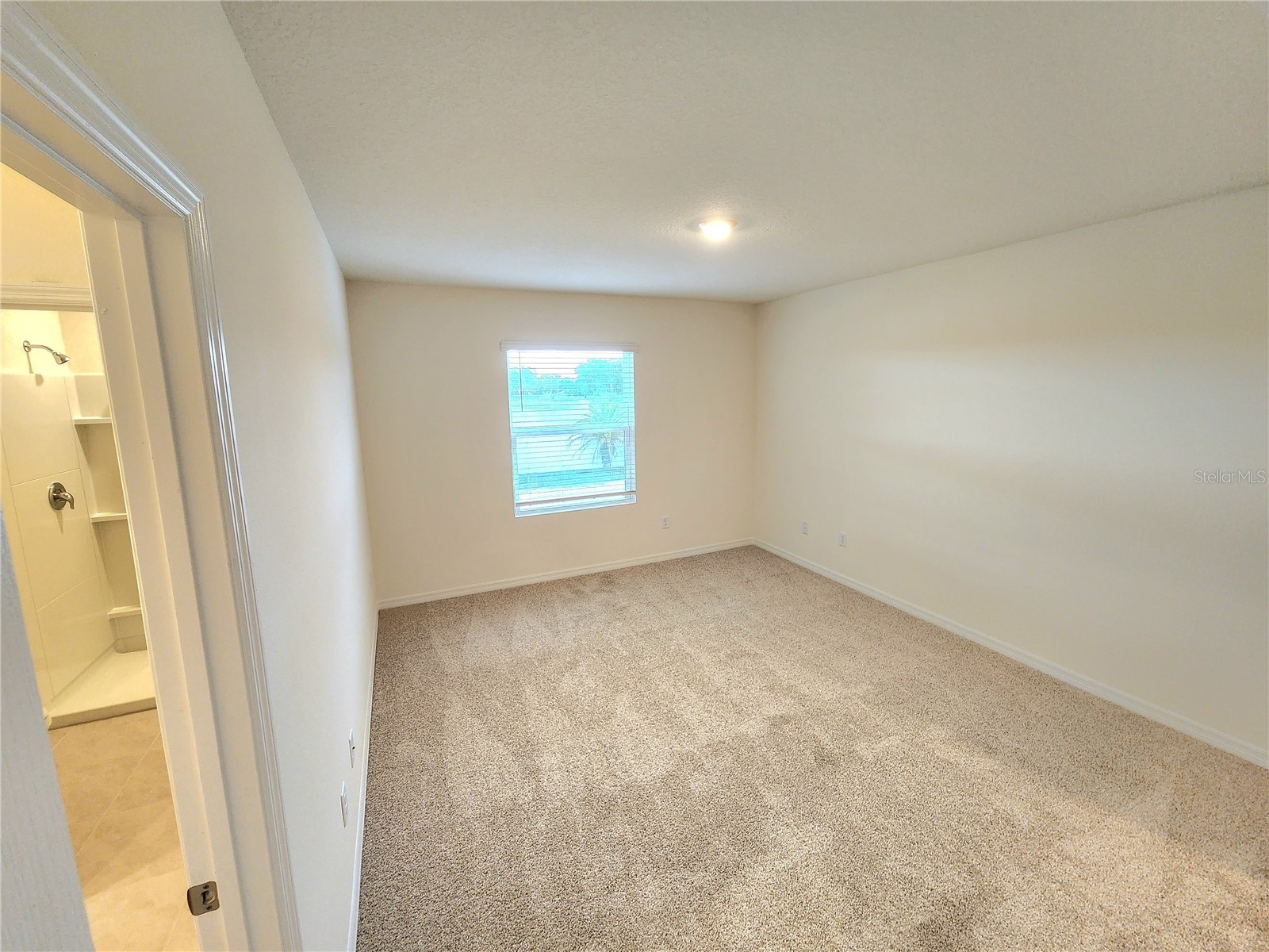 1141 Blue Jay Drive Davenport FL 33837 S5143972 image18