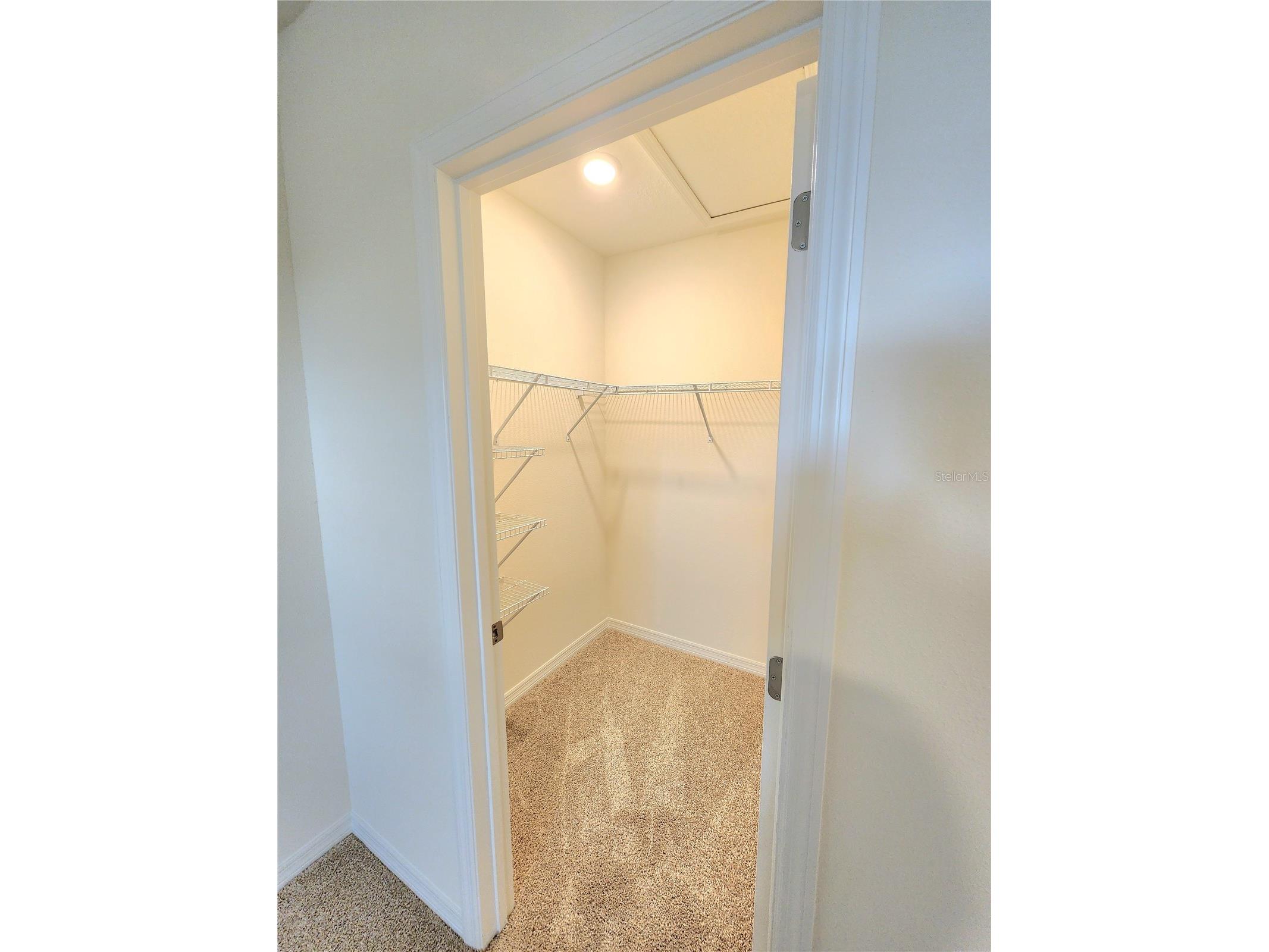 1141 Blue Jay Drive Davenport FL 33837 S5143972 image19