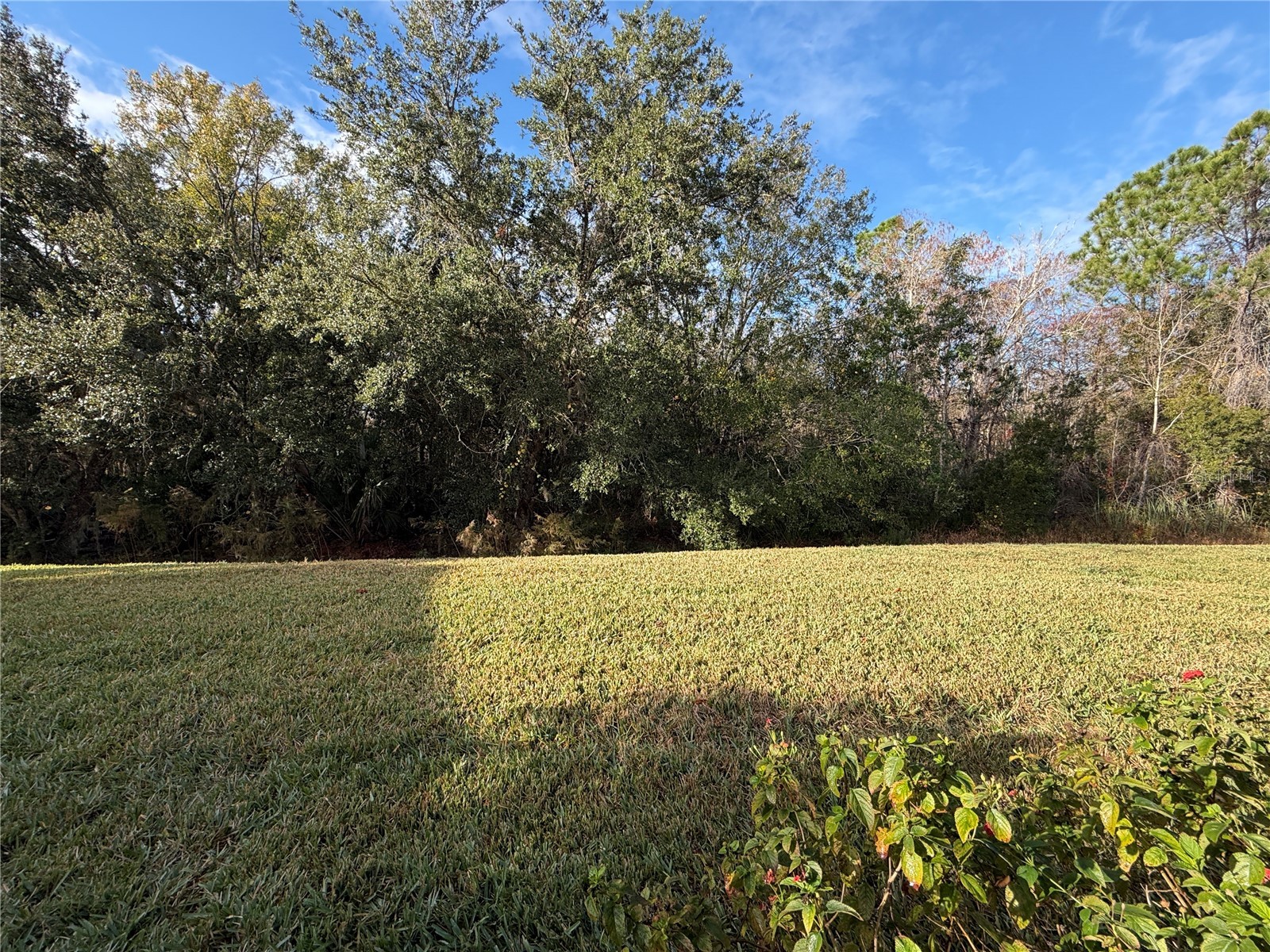 1141 Harbor Ridge Drive Poinciana FL 34759 S5140963 image32