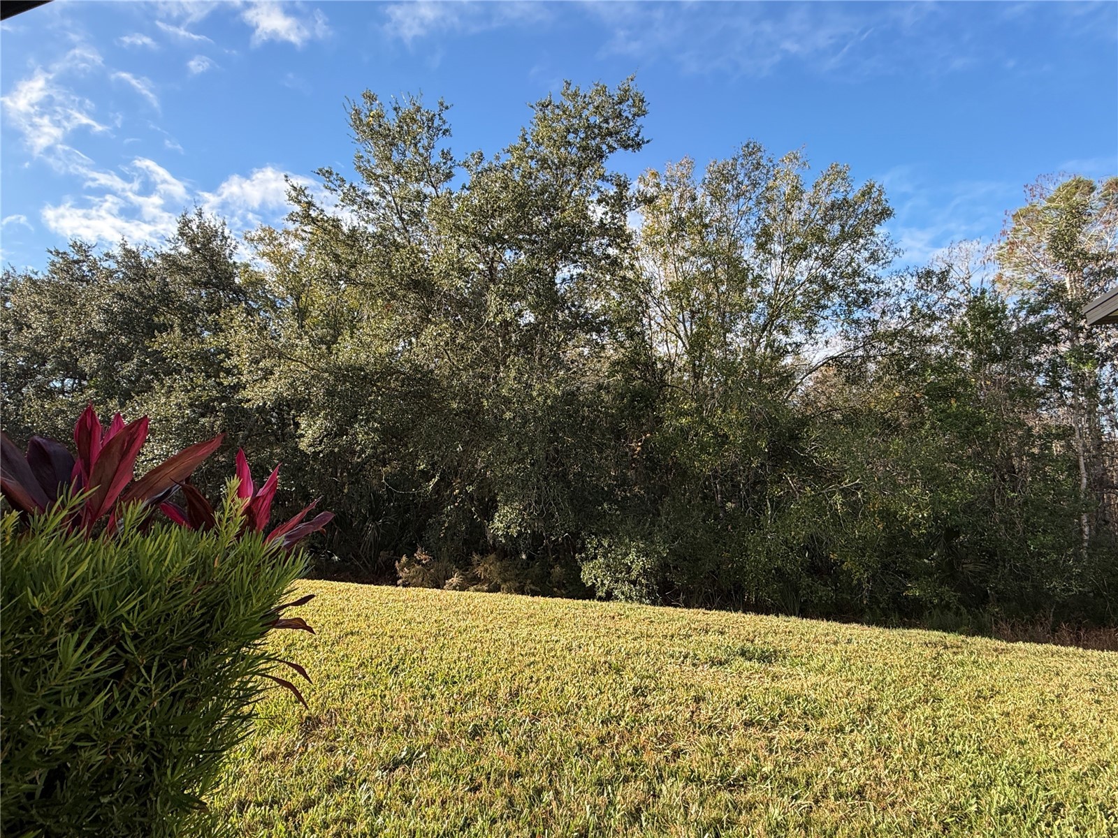 1141 Harbor Ridge Drive Poinciana FL 34759 S5140963 image34