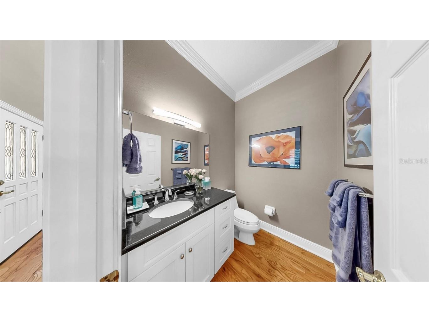 1141 Myrtle Road Valrico FL 33596 - ALAFIA RIVER TB8388401 image43