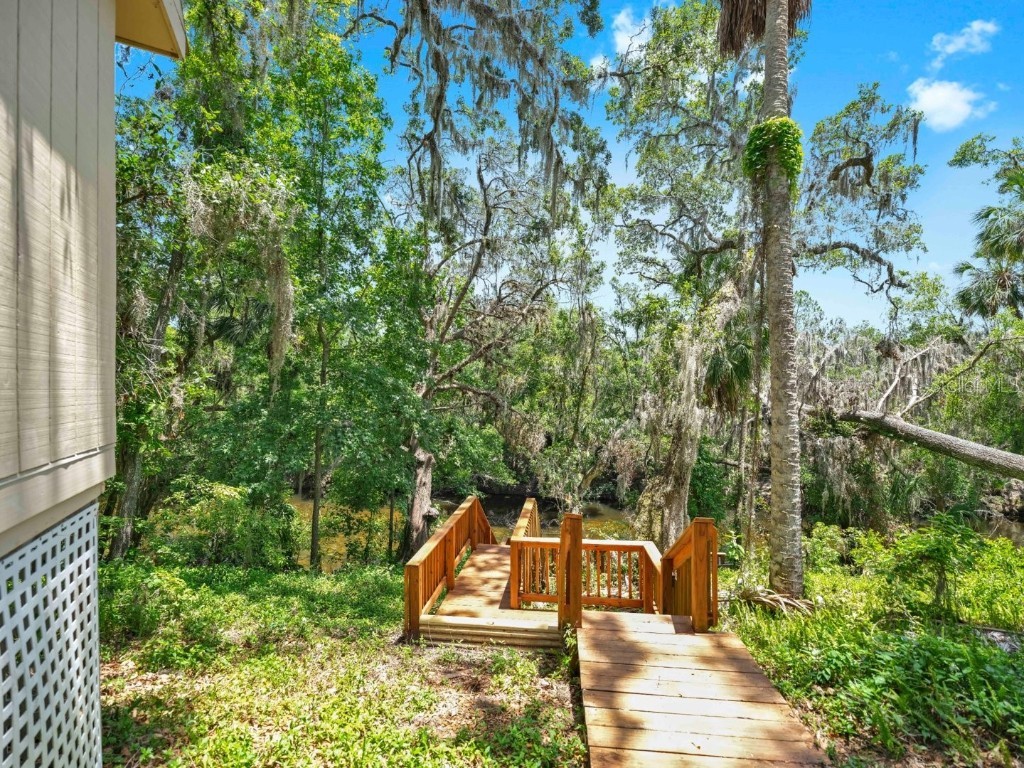1141 Myrtle Road Valrico FL 33596 - ALAFIA RIVER TB8388401 image87