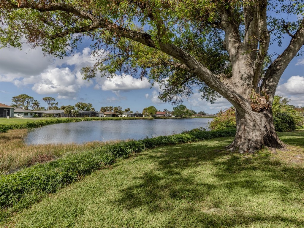 1141 Sleepy Hollow Court Venice FL 34285 N6141827 image6