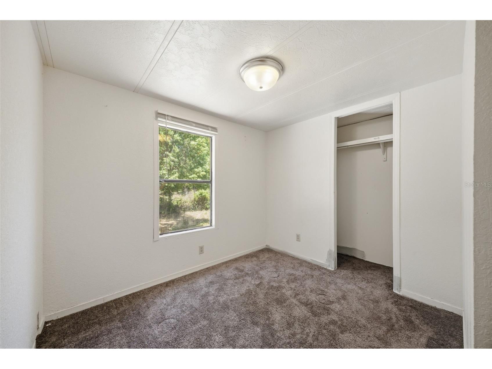 11410 Thomas Road Seffner FL 33584 TB8515632 image61