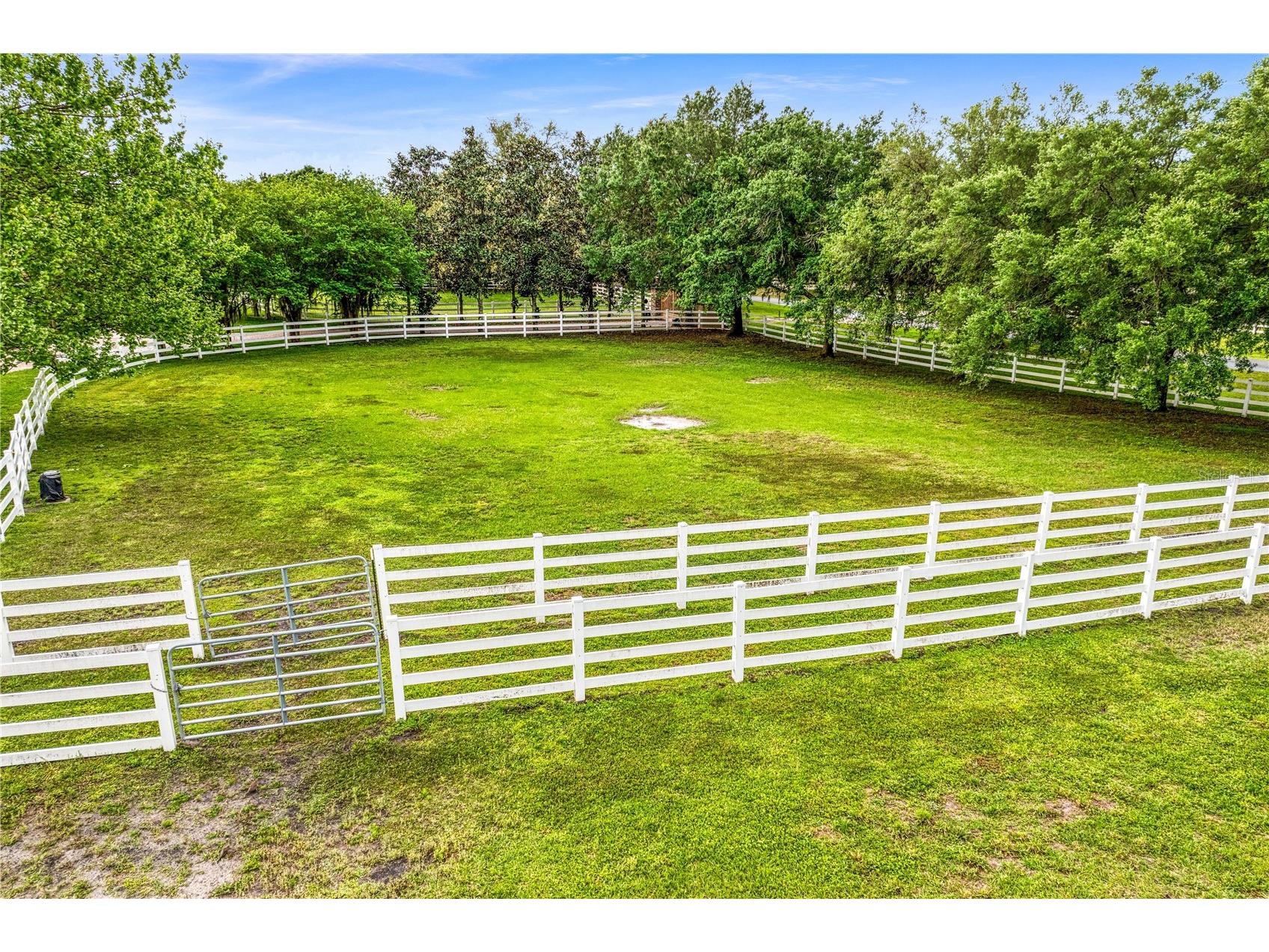 11410 Trotting Down Drive Odessa FL 33556 TB8498512 image82
