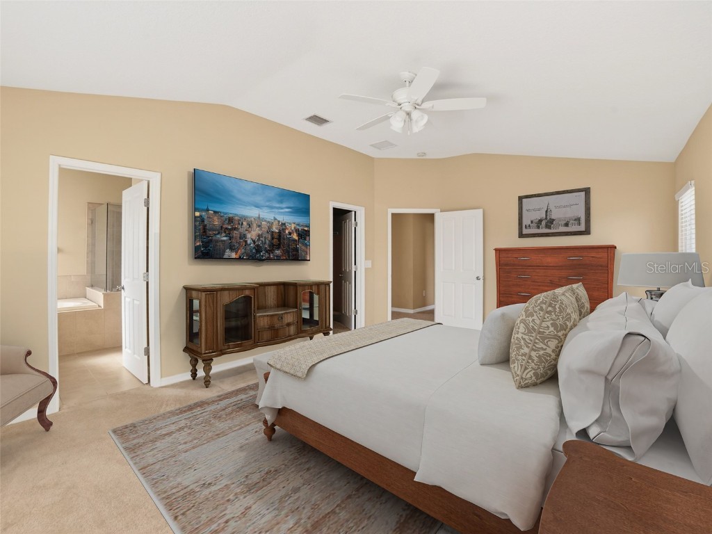 11411 Flora Springs Drive Riverview FL 33579 TB8453983 image16