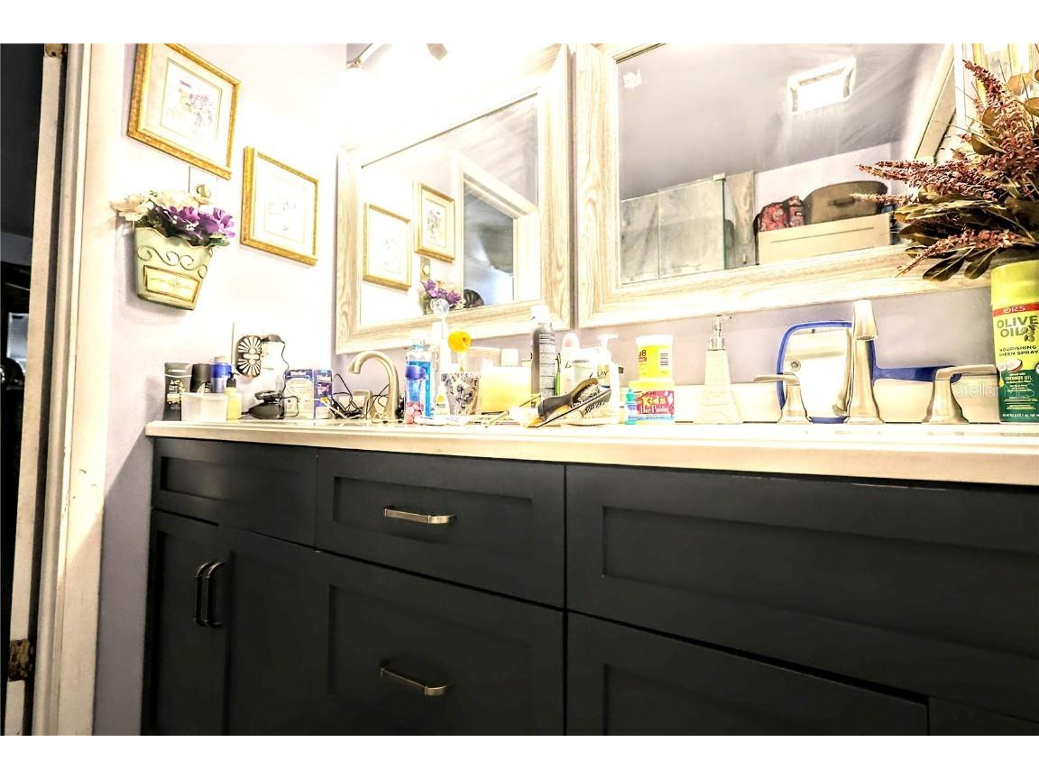 11411 N 19th Street Tampa FL 33612 TB8387814 image20