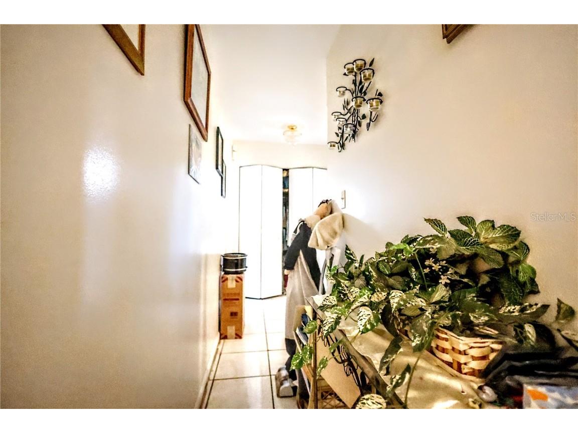 11411 N 19th Street Tampa FL 33612 TB8387814 image58