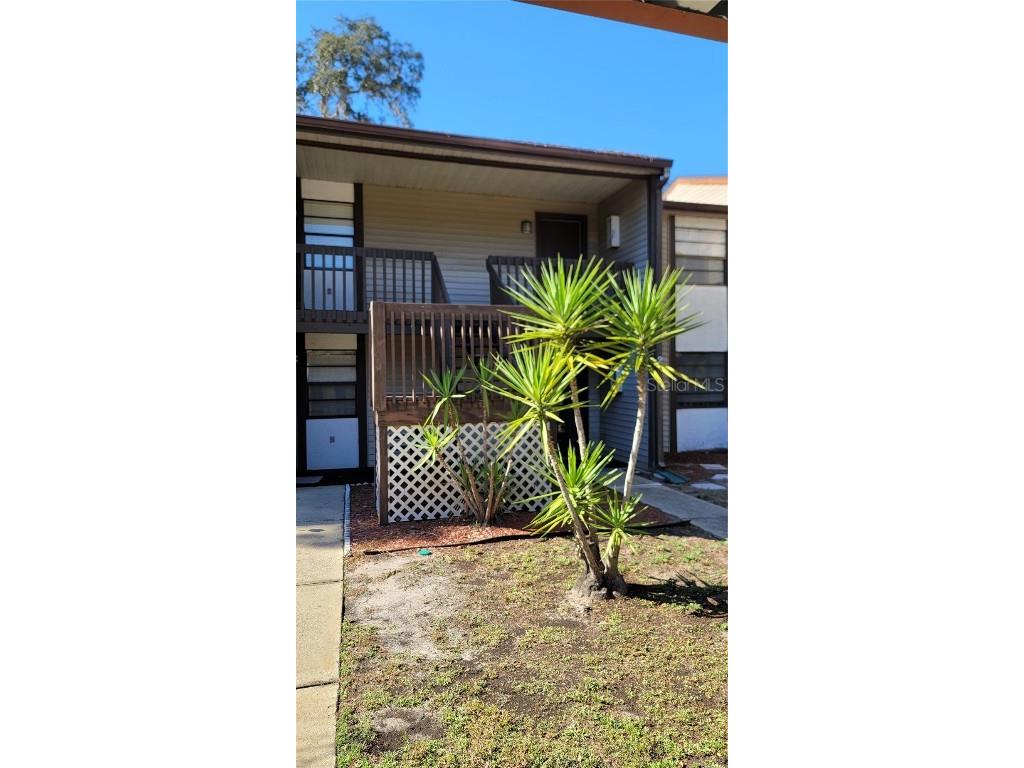 11411 Pike Court #6 New Port Richey FL 34654 T3494759 image1