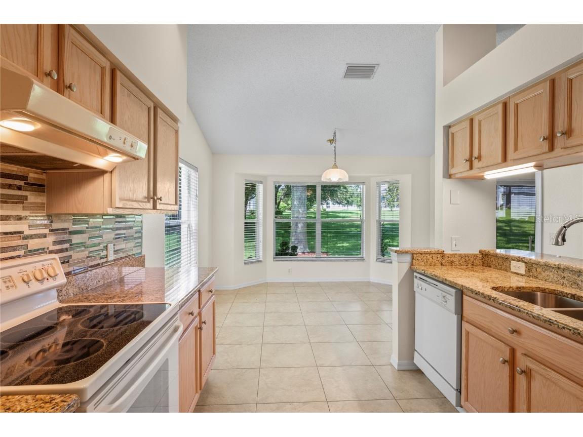 11412 Alden Court Hudson FL 34667 TB8397607 image14