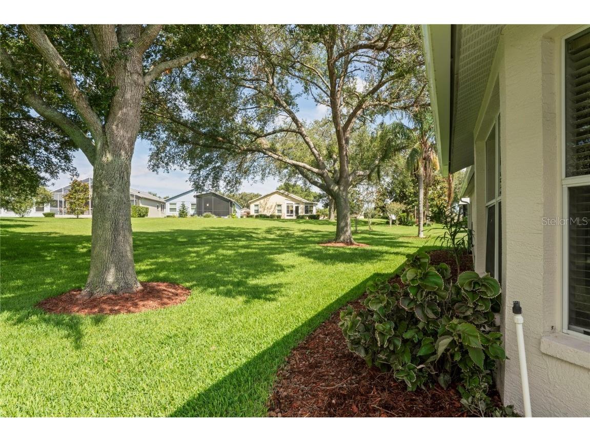 11412 Alden Court Hudson FL 34667 TB8397607 image42