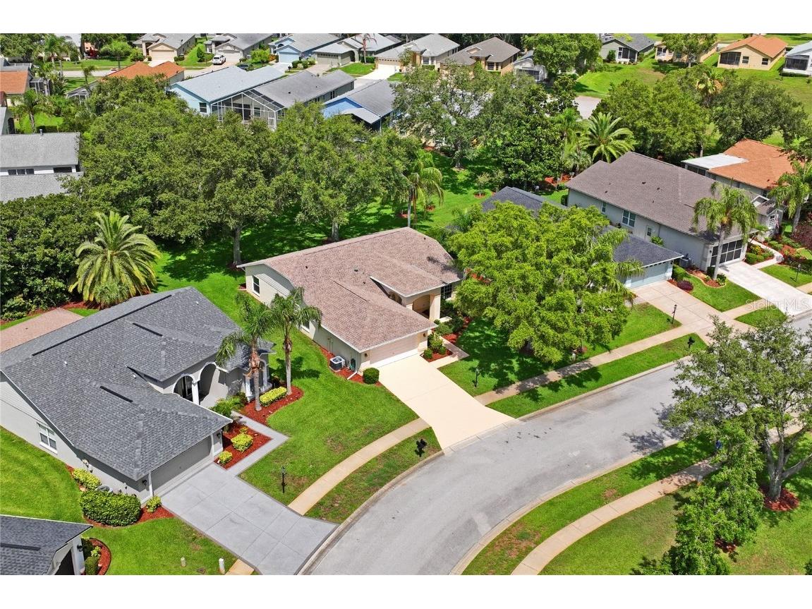 11412 Alden Court Hudson FL 34667 TB8397607 image51