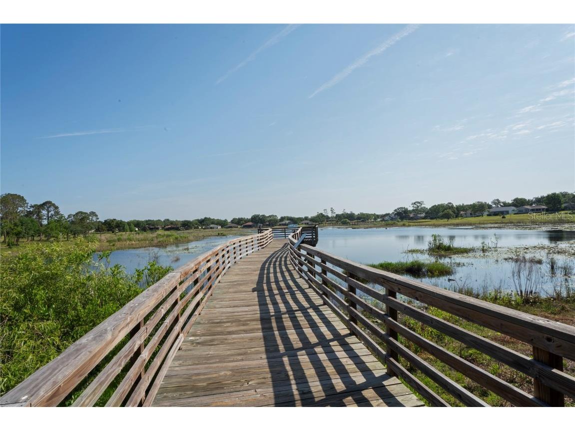 11412 Alden Court Hudson FL 34667 TB8397607 image59