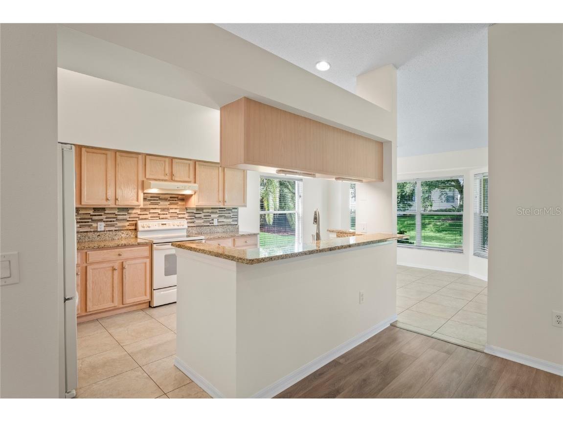 11412 Alden Court Hudson FL 34667 TB8397607 image8