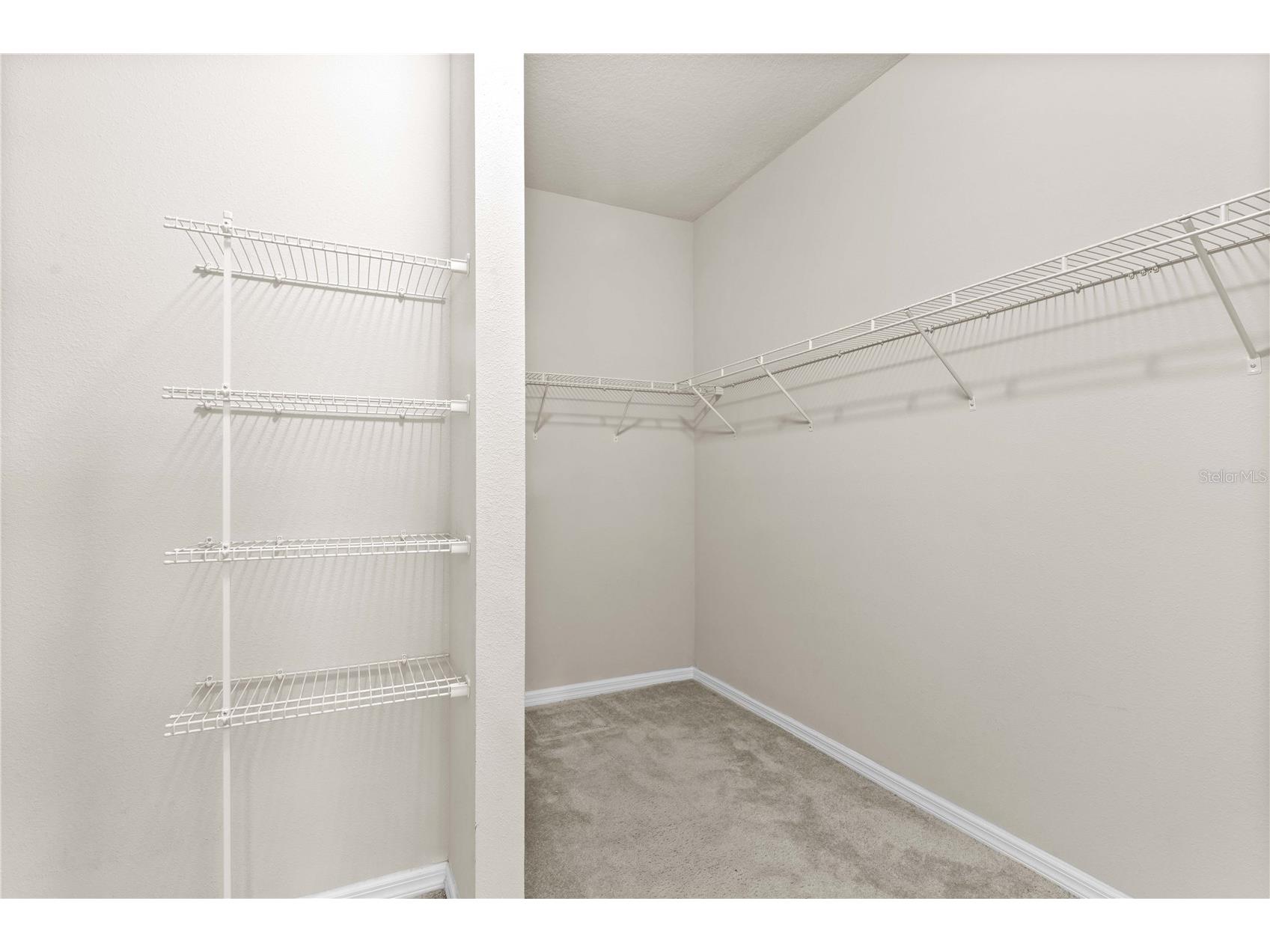 11412 Lake Lucaya Drive Riverview FL 33579 TB8509023 image41