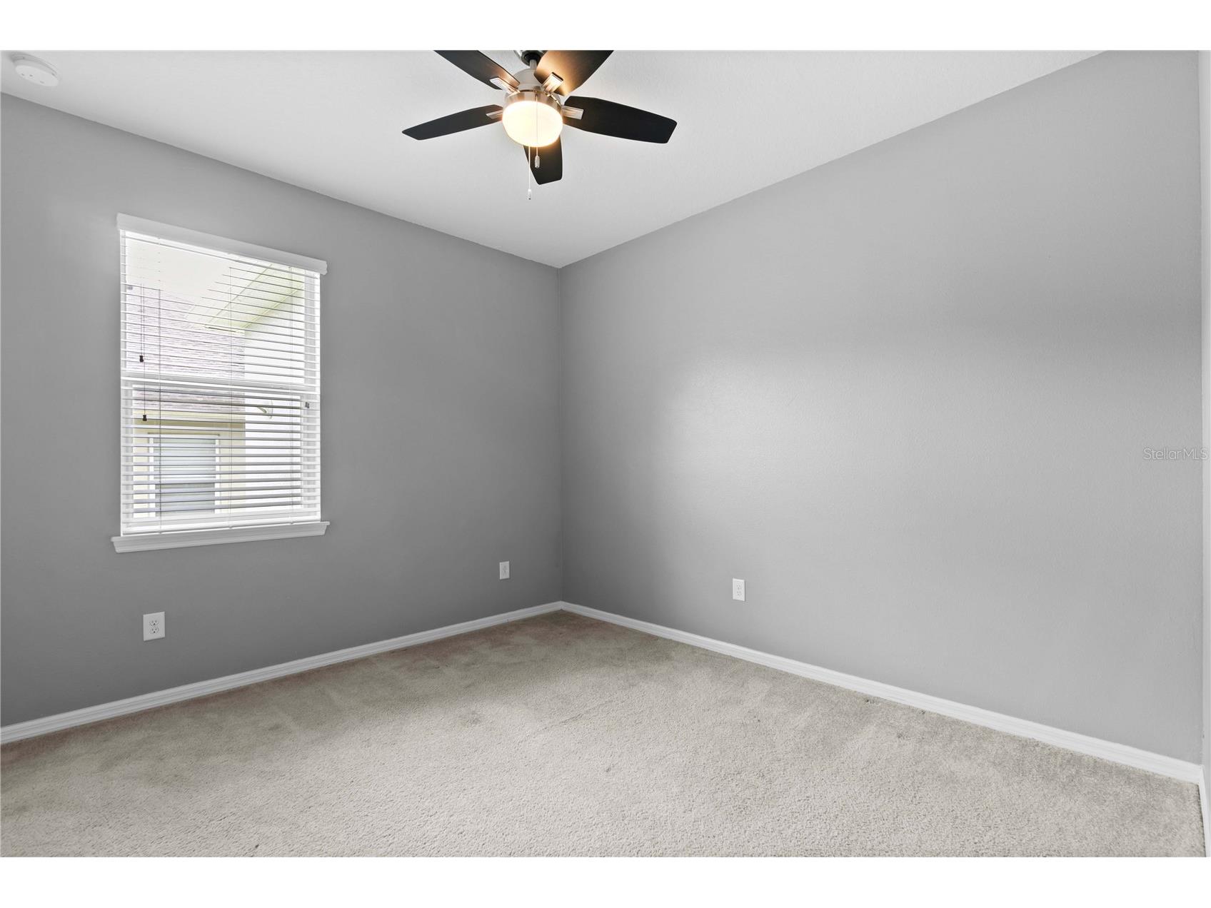 11412 Lake Lucaya Drive Riverview FL 33579 TB8509023 image46