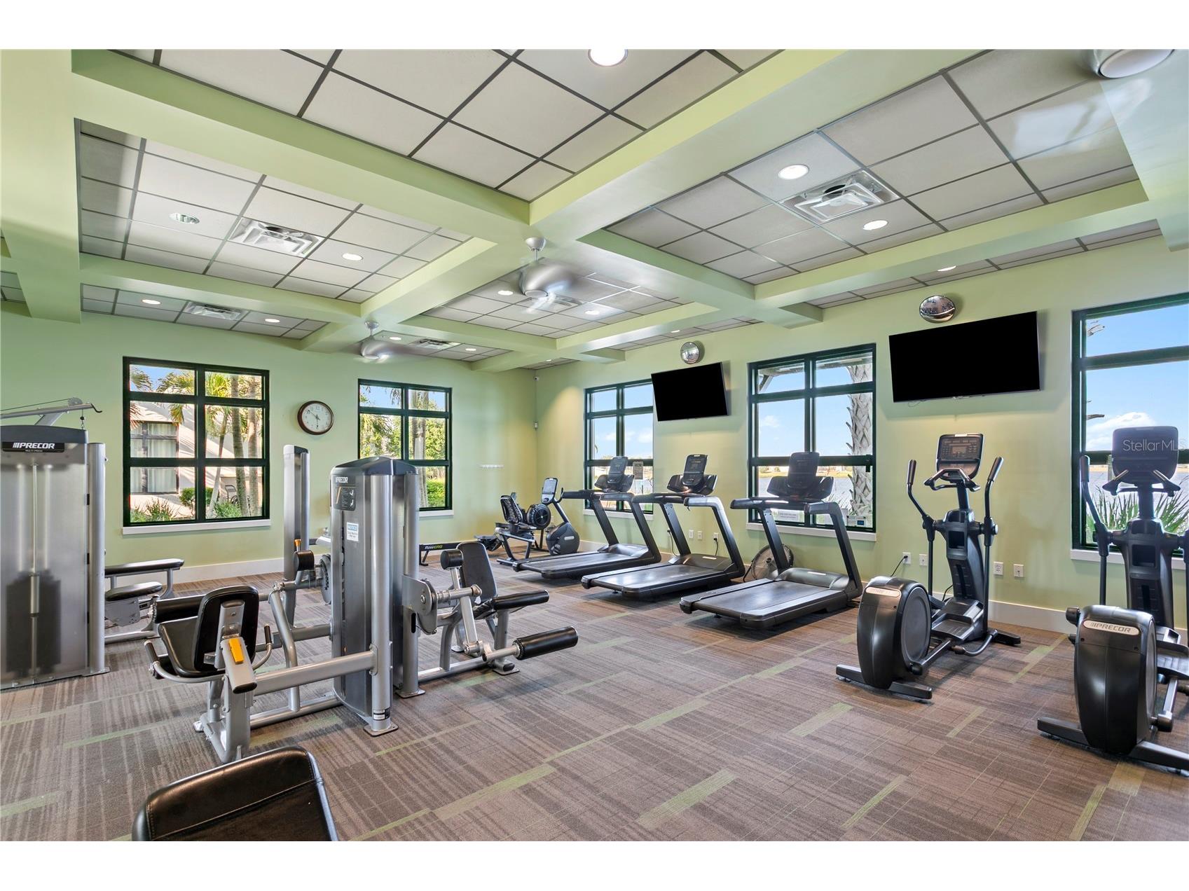 11412 Lake Lucaya Drive Riverview FL 33579 TB8509023 image67