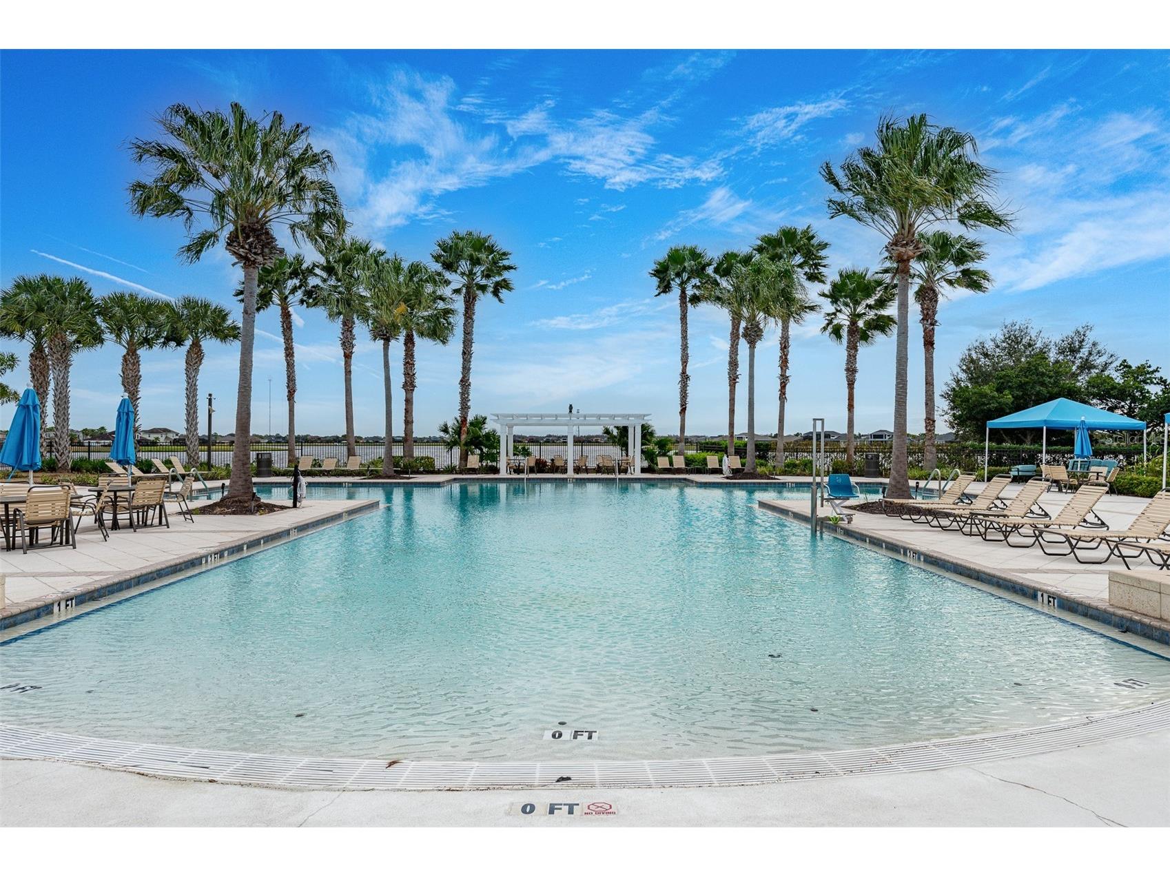 11412 Lake Lucaya Drive Riverview FL 33579 TB8509023 image78