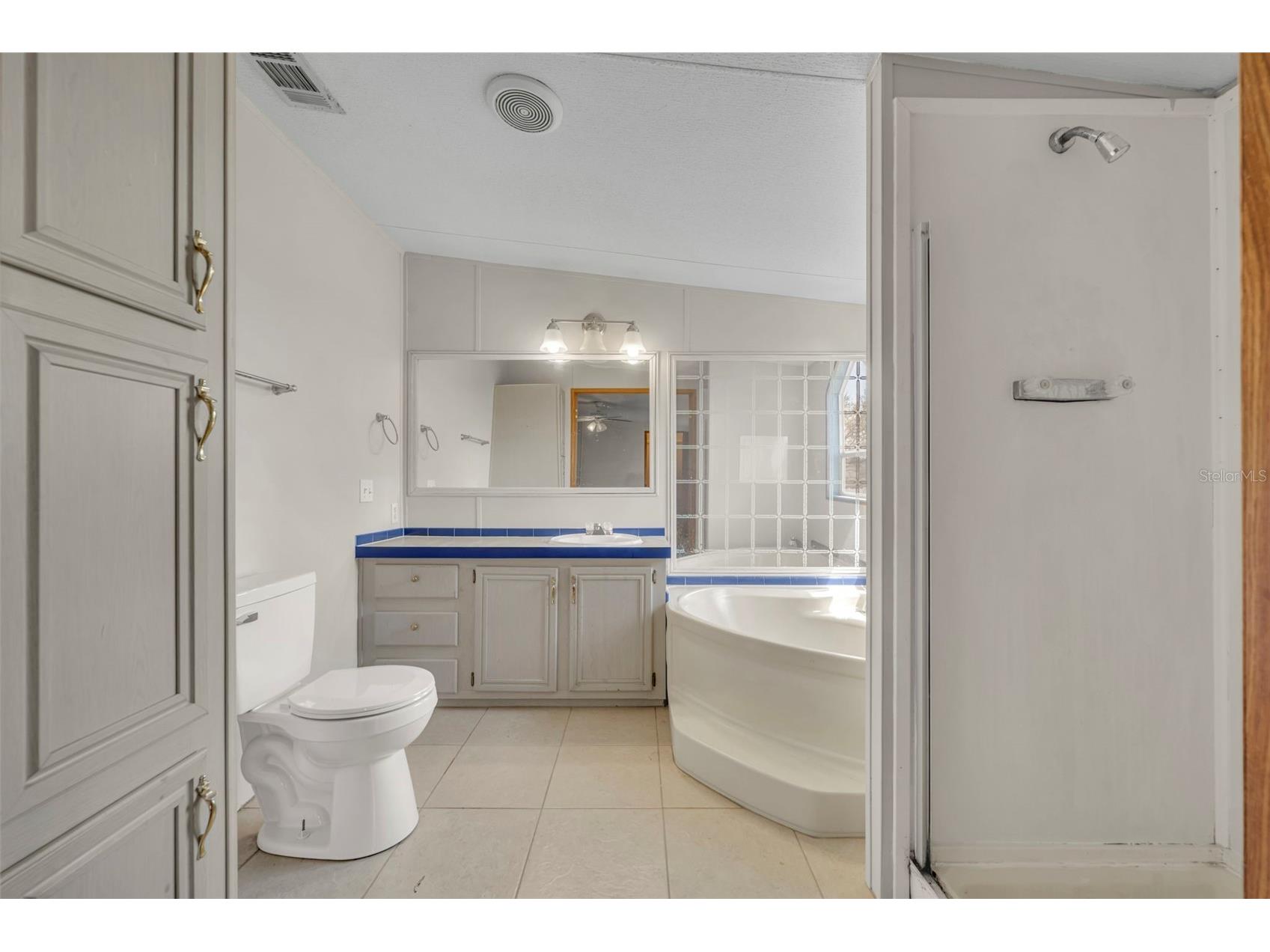 11412 Pheasant Trail Leesburg FL 34788 G5109341 image23