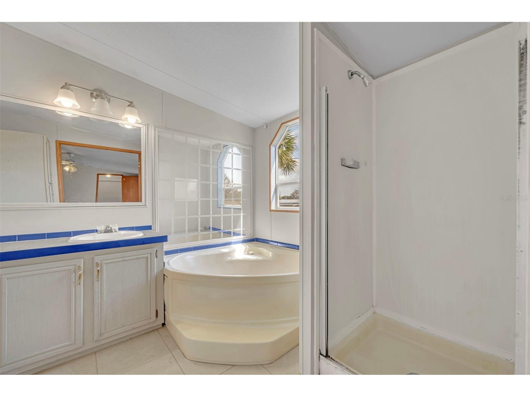 11412 Pheasant Trail Leesburg FL 34788 G5109341 image24