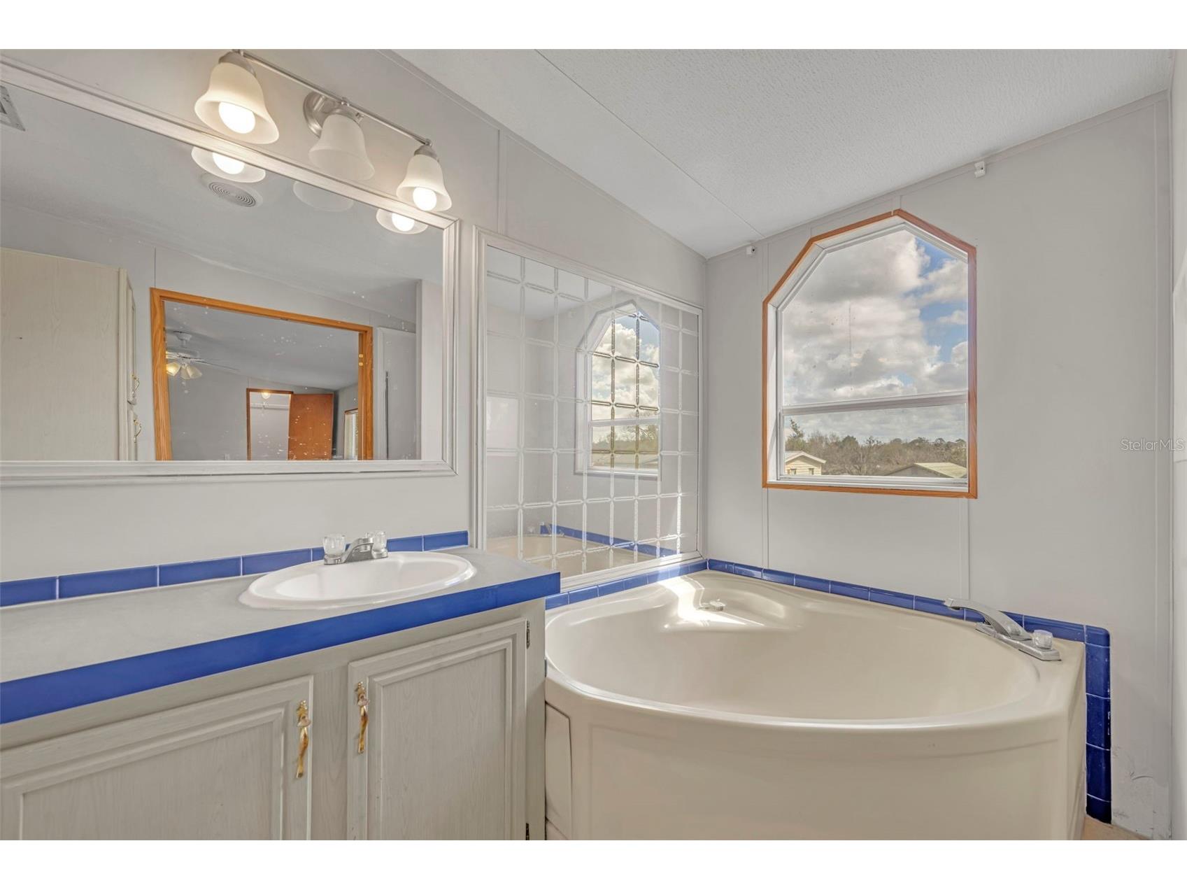 11412 Pheasant Trail Leesburg FL 34788 G5109341 image25