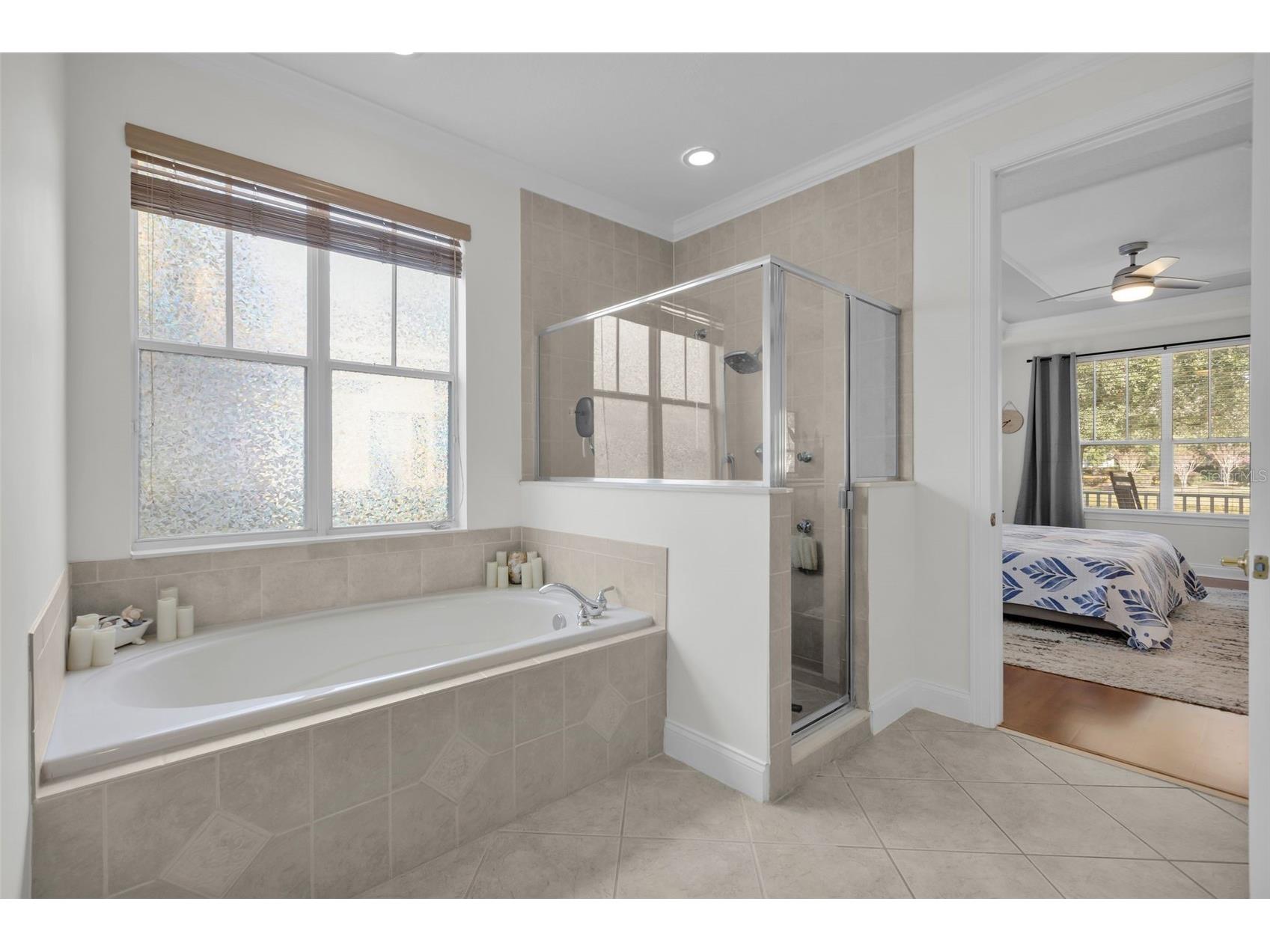 11413 Camden Park Drive Windermere FL 34786 O6417791 image23