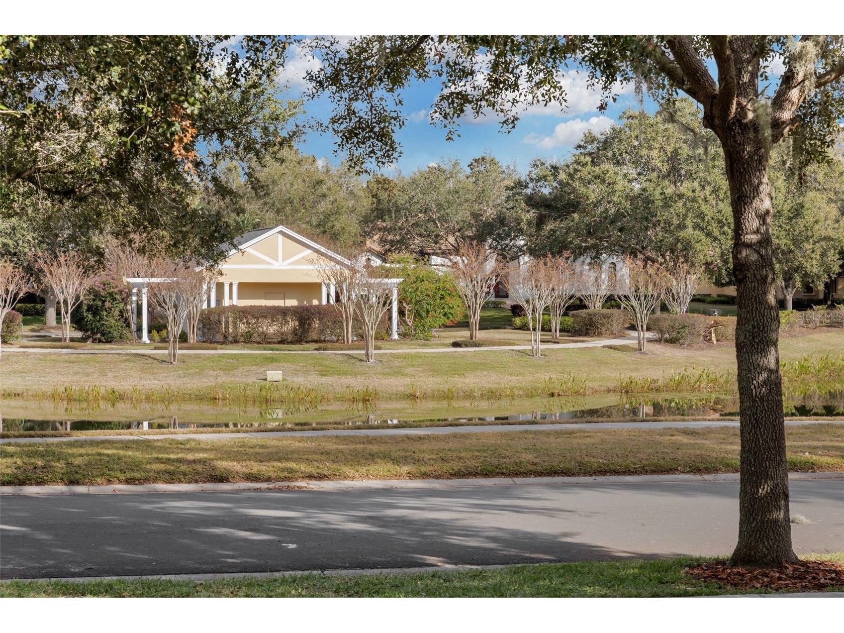 11413 Camden Park Drive Windermere FL 34786 O6417791 image57